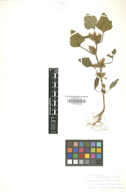 LE 01010218