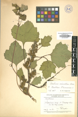 LE 01010407