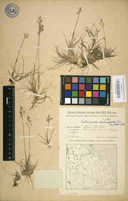 LE 01024016