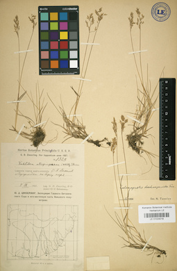 LE 01024018
