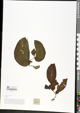 LE 01050102