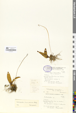 LE 01050119