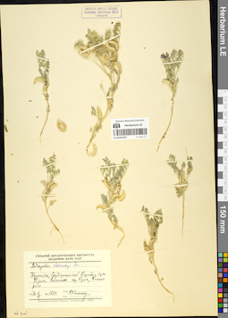 LE 01052447