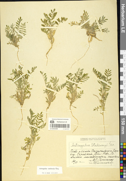 LE 01052449
