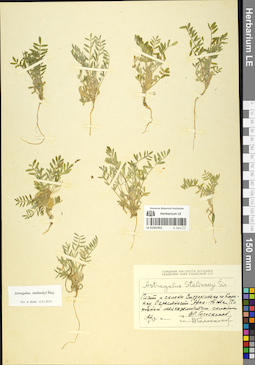 LE 01052451