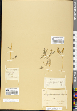LE 01052034