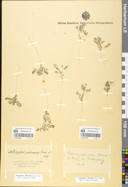 LE 01052046