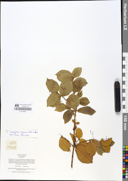 LE 01049044