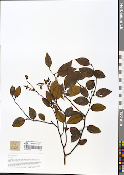 LE 01054027