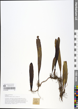 LE 01054088