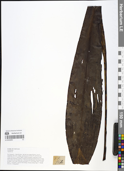 LE 01054092