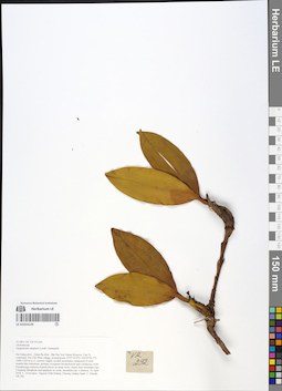 LE 01054129