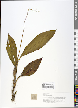 LE 01054187
