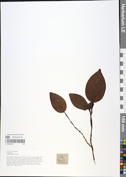 LE 01054194