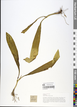 LE 01054198