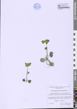 LE 01311887