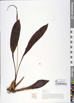 LE 01054221