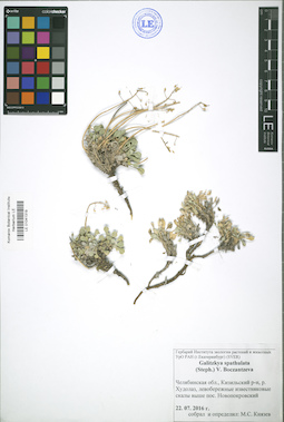 LE 01041319