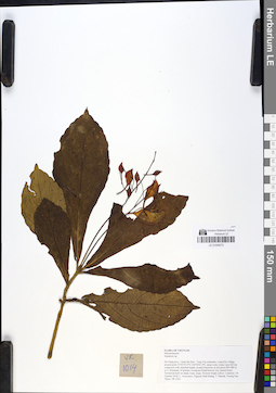 LE 01049073