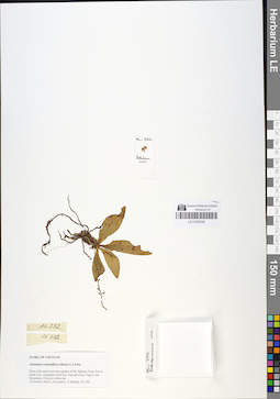 LE 01050330