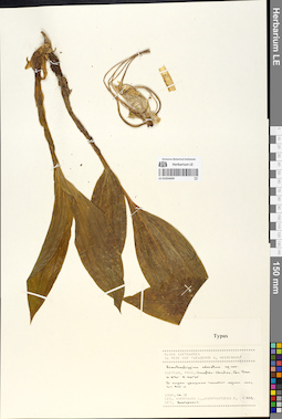 LE 01054499