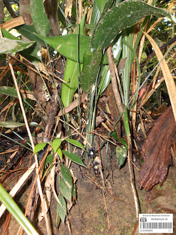 LE 01054603