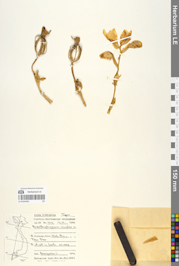 LE 01054502