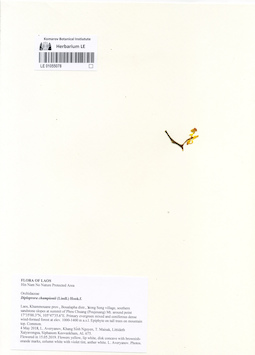 LE 01055078