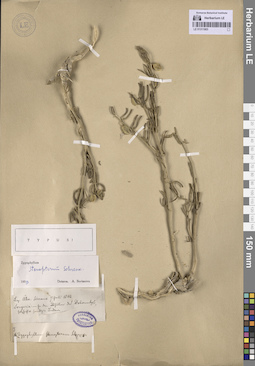 LE 01311903