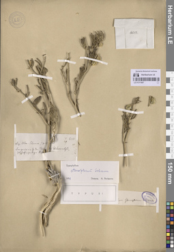 LE 01311907