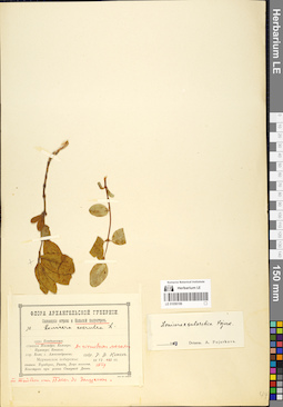 LE 01056199