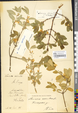 LE 01056214