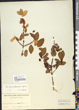 LE 01056241