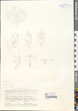 LE 01054518
