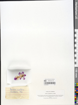 LE 01054551