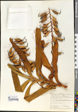 LE 01054563