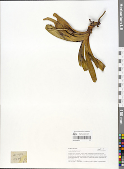 LE 01054571