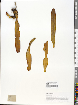 LE 01054580