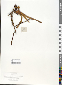 LE 01054583