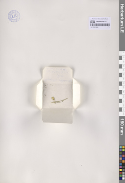 LE 01311918