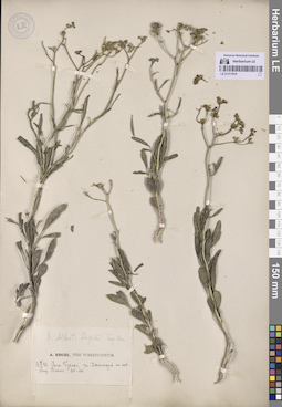 LE 01311919