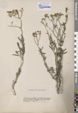 LE 01311927
