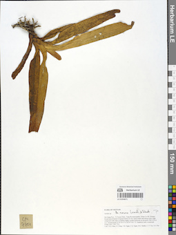 LE 01054671