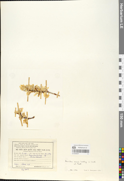 LE 01054677