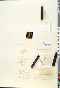 LE 01054694