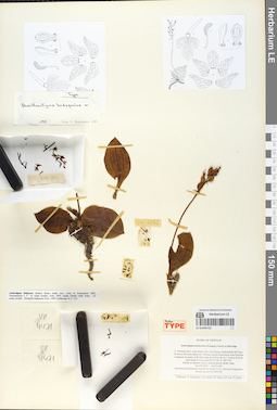 LE 01054722