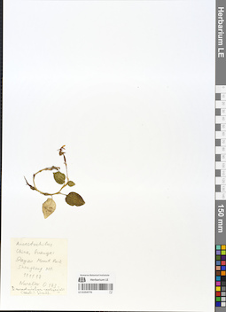 LE 01054776