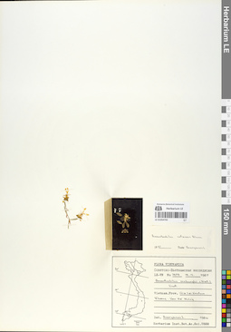 LE 01054792