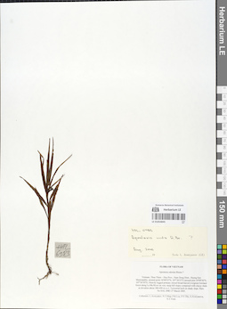 LE 01054845