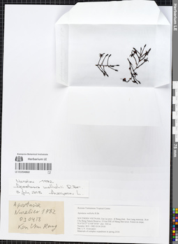 LE 01054860